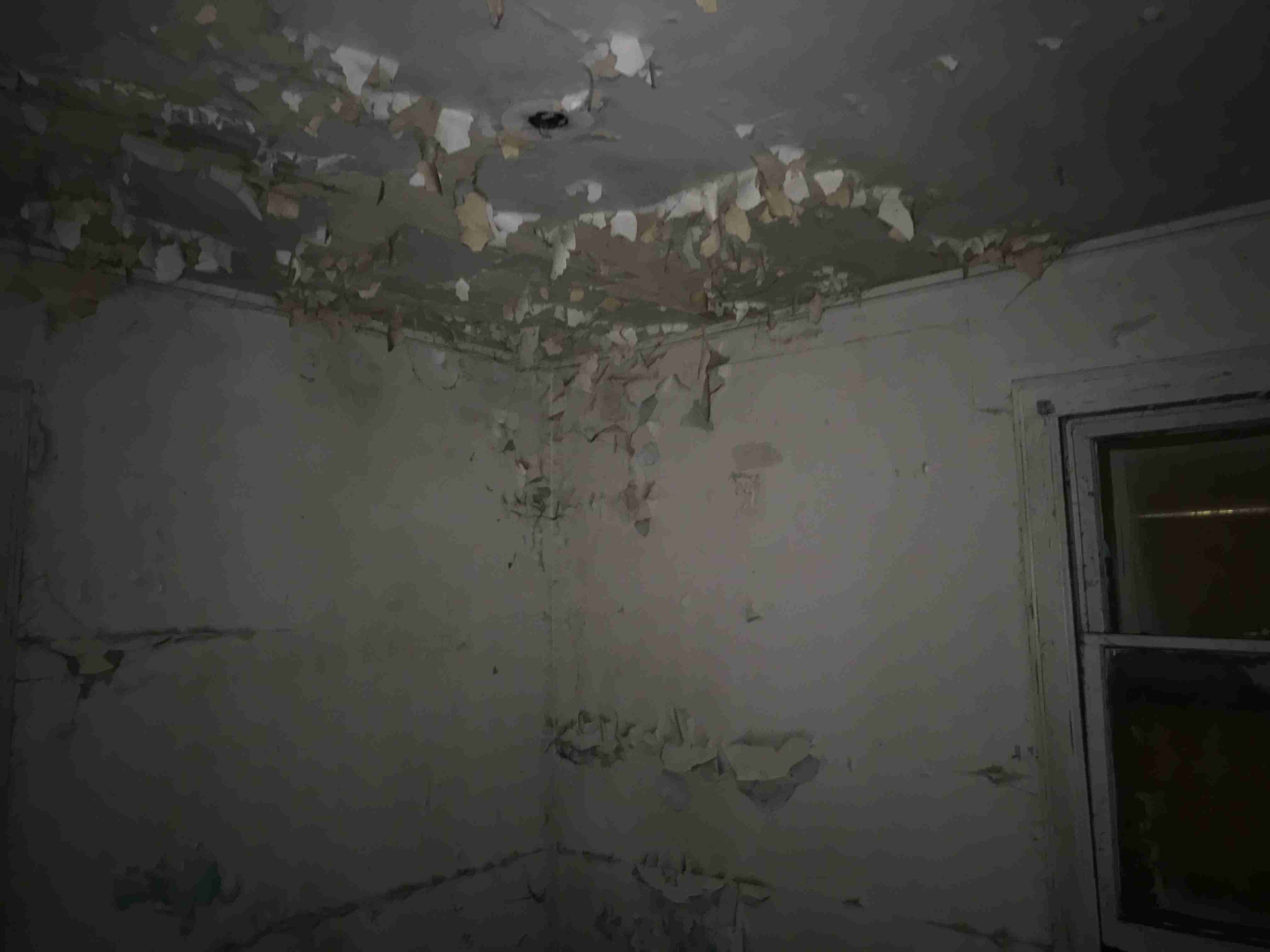 Photo Sep 10, 2 16 06 PM.jpg